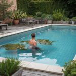 Traitement algues moutarde piscine : causes, solutions durables et produits recommandés par les professionnels